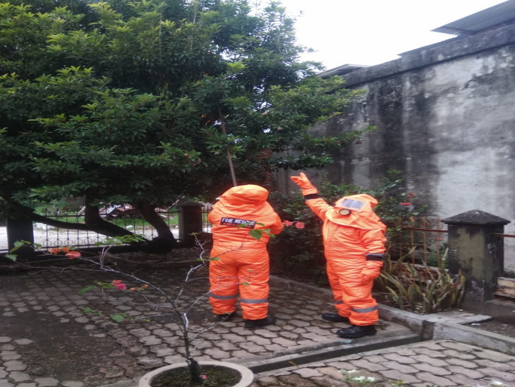 Kembali sarang tawon jenis Vespa (Affinis) di evakuasi