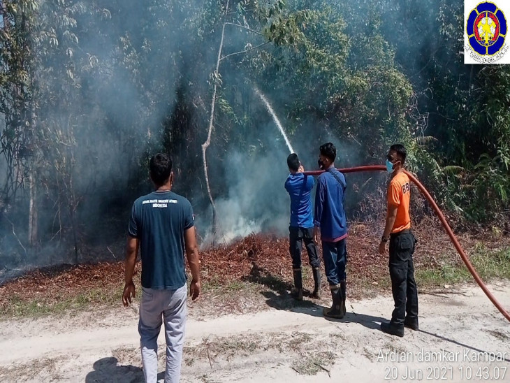 Damkar bekerja sama dengan BPBD Kab. Kampar Padamkan Kebakaran Lahan di Sungai Hijau