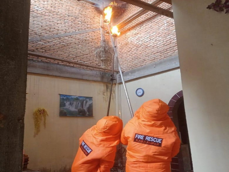 Tawon Jenis Vespa yang bersarang didalam rumah warga berhasil di Evakuasi