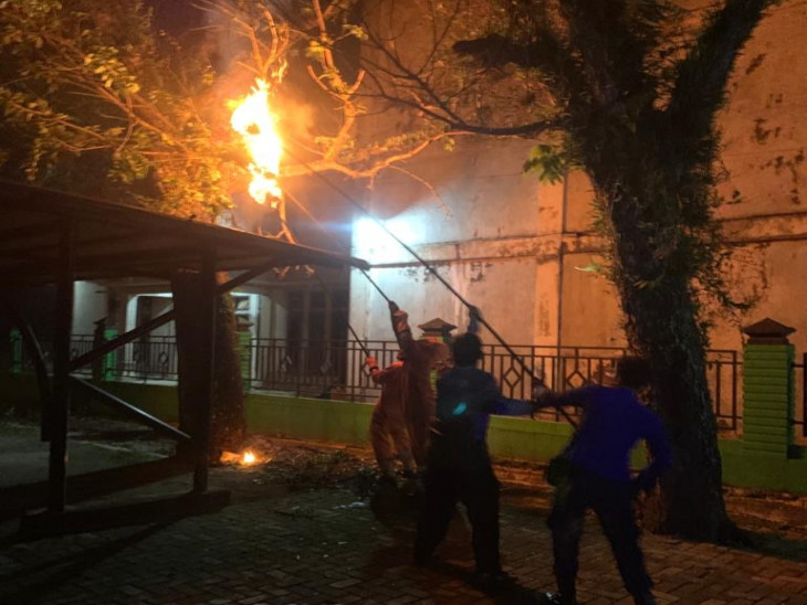 Sarang Tawon di Pohon Perkantoran DPM PTSP Kampar, Dieksekusi Tim Rescue Damkar dan Penyelamatan