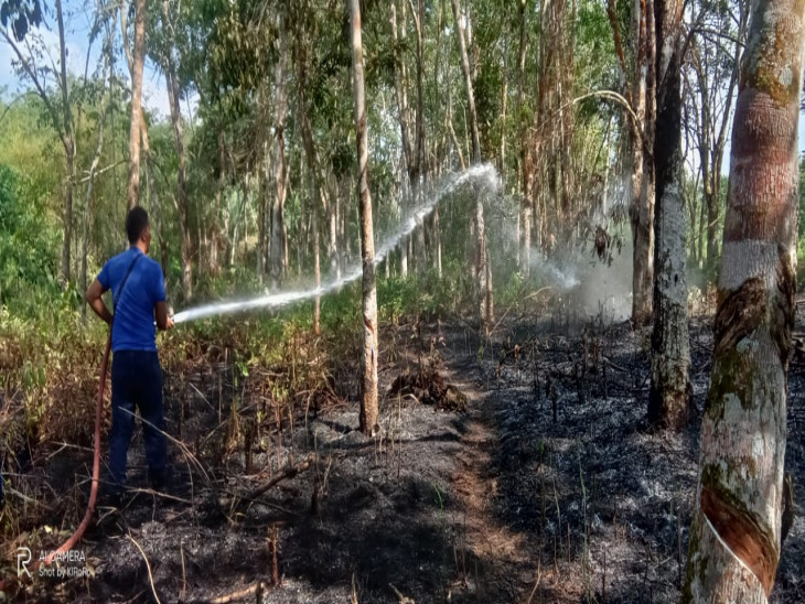 Kebakaran Lahan Warga di Desa Sawah, Petugas Damkar Lakukan Pemadaman