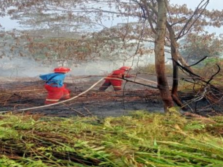 Kebakaran Lahan Seluas 5 Hektar di Koto Garo, Petugas Damkar Kampar Berjibaku Padamkan Api