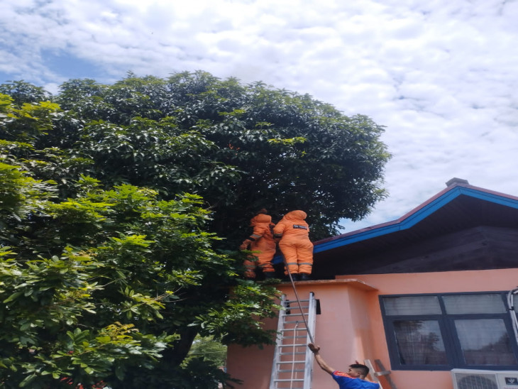 UPDATE INFO RESCUE. WILAYAH KABUPATEN KAMPAR. DINAS PEMADAM KEBAKARAN DAN PENYELAMATAN KAB.KAMPAR