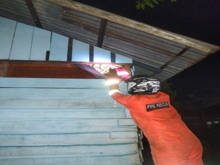 Tim Rescue Damkar dan Penyelamatan Kampar Lakukan Penanganan Terhadap Lebah Madu