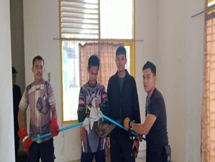 Tim Rescue Damkar dan Penyelamatan Kampar, Berhasil Evakuasi Hewan Musang Yang Masuk di Kantor Pajak